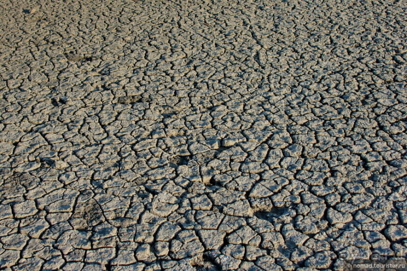 Африканское ралли. Часть 4