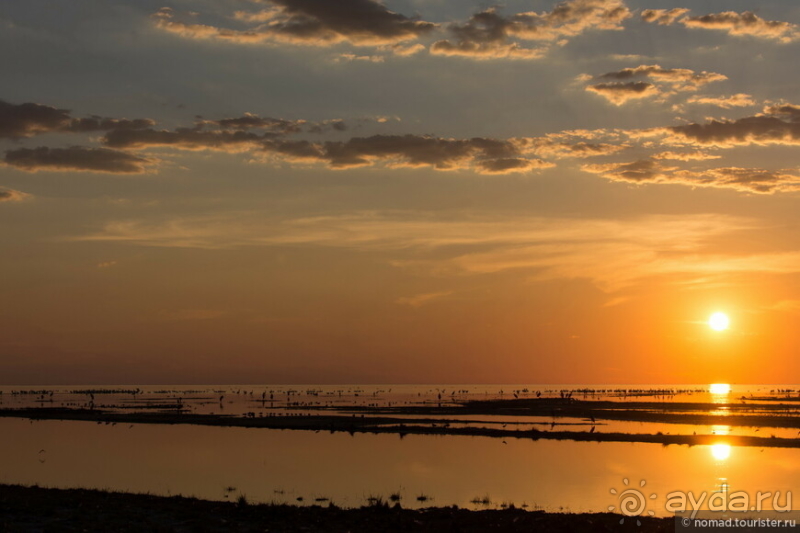 Африканское ралли. Часть 4