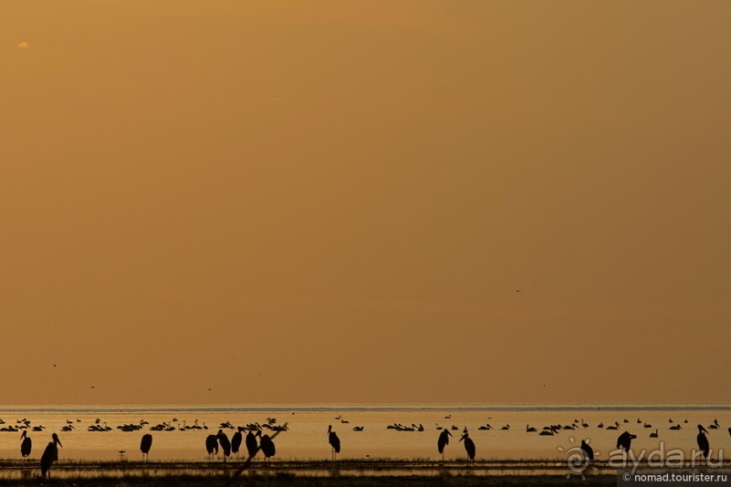 Африканское ралли. Часть 4