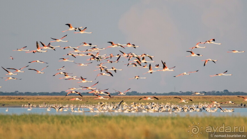 Африканское ралли. Часть 4