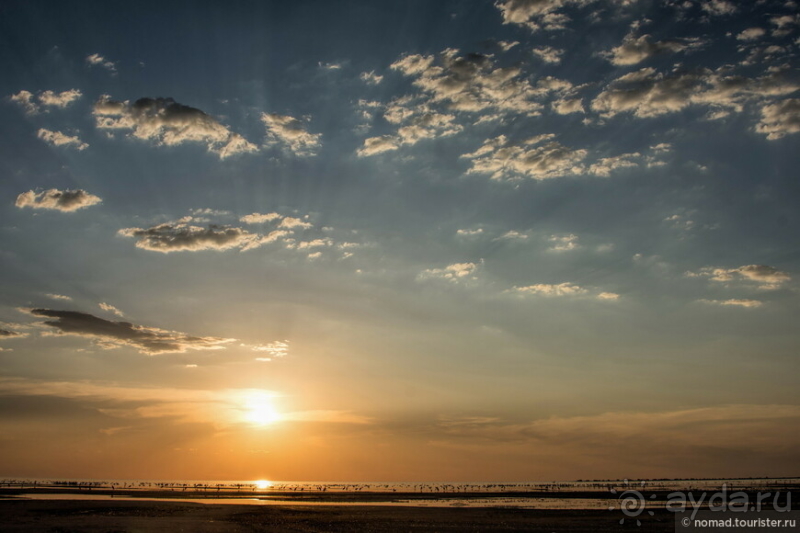 Африканское ралли. Часть 4