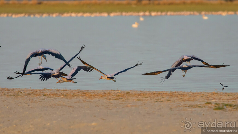 Африканское ралли. Часть 4