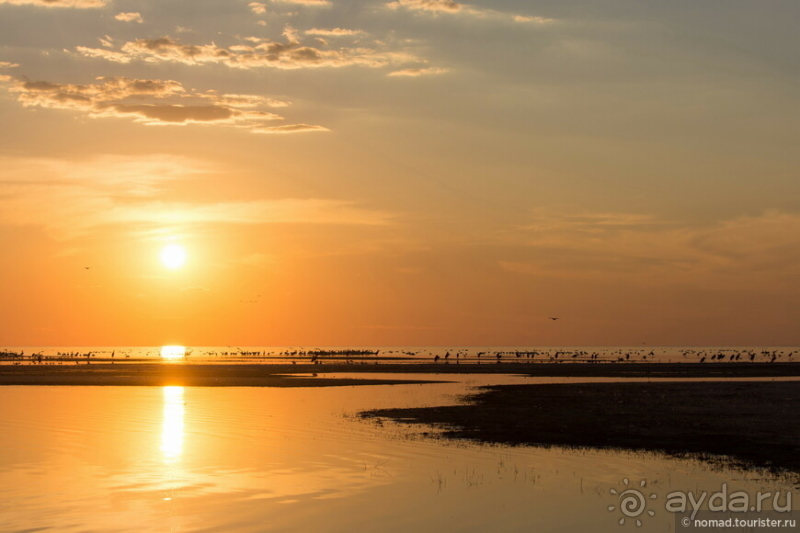 Африканское ралли. Часть 4