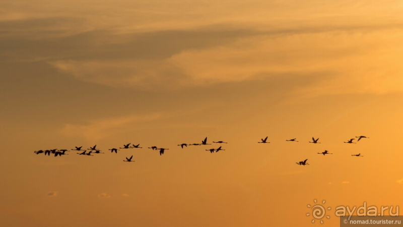 Африканское ралли. Часть 4