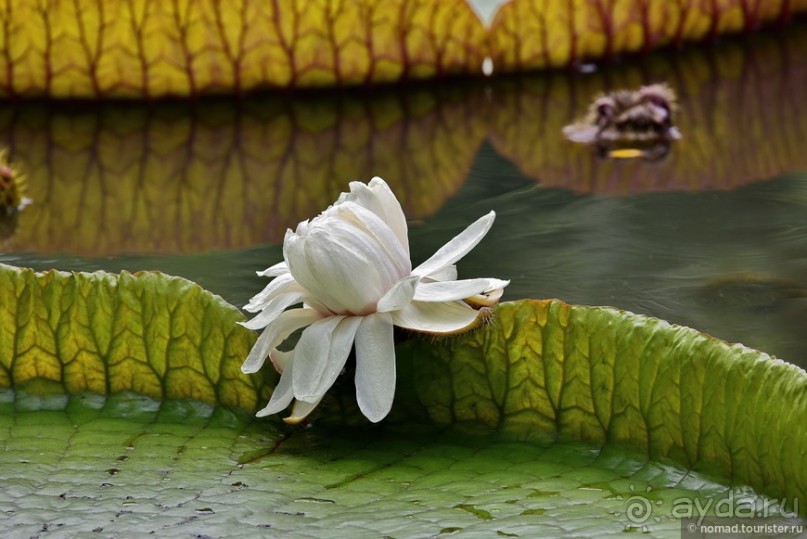 ТАИЛАНДиЯ. Часть 1