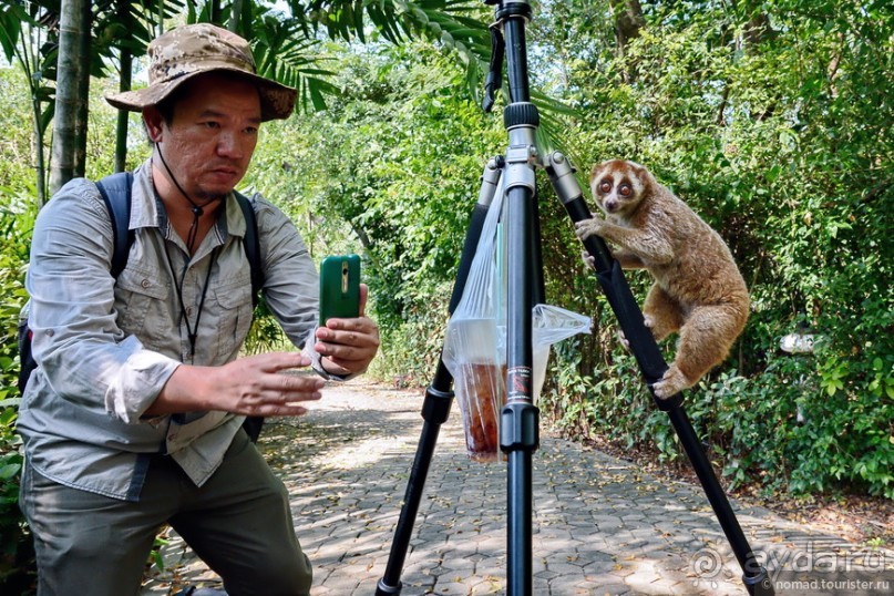 ТАИЛАНДиЯ. Часть 1