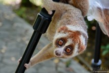 ТАИЛАНДиЯ. Часть 1