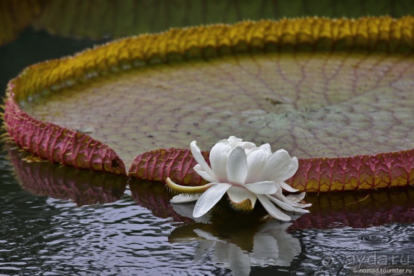 ТАИЛАНДиЯ. Часть 1