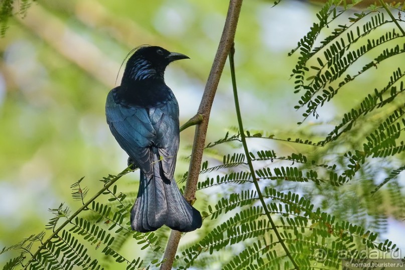 ТАИЛАНДиЯ. Часть 1