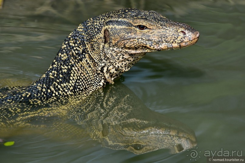 ТАИЛАНДиЯ. Часть 1