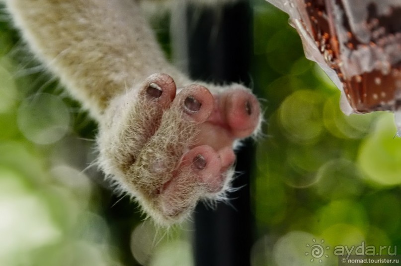 ТАИЛАНДиЯ. Часть 1