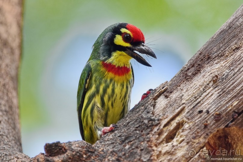 ТАИЛАНДиЯ. Часть 1