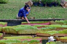 ТАИЛАНДиЯ. Часть 1