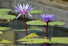 ТАИЛАНДиЯ. Часть 1