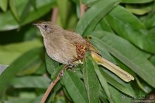 ТАИЛАНДиЯ. Часть 1