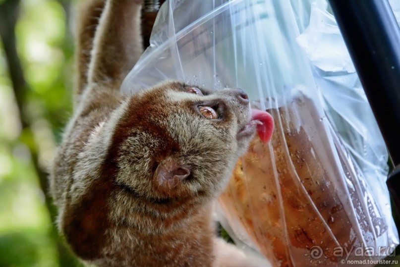 ТАИЛАНДиЯ. Часть 1