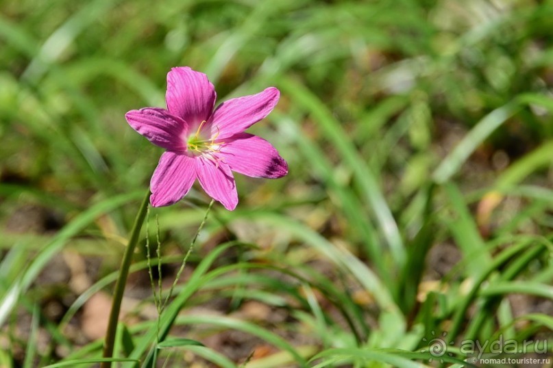ТАИЛАНДиЯ. Часть 1