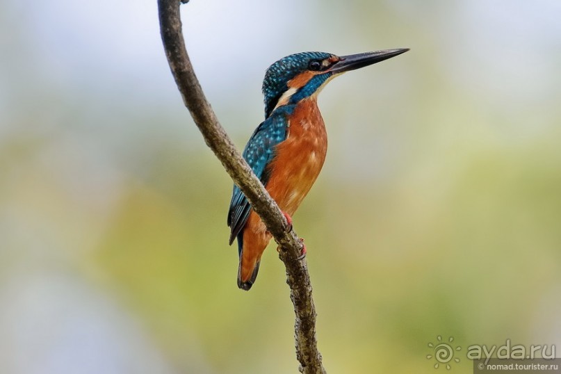 ТАИЛАНДиЯ. Часть 1