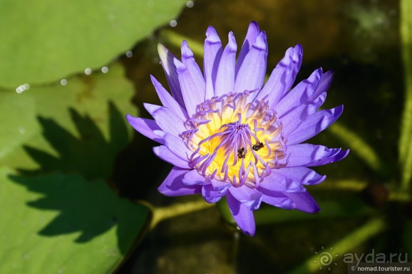 ТАИЛАНДиЯ. Часть 1