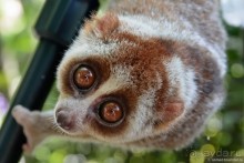 ТАИЛАНДиЯ. Часть 1