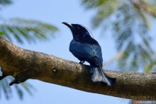 ТАИЛАНДиЯ. Часть 1