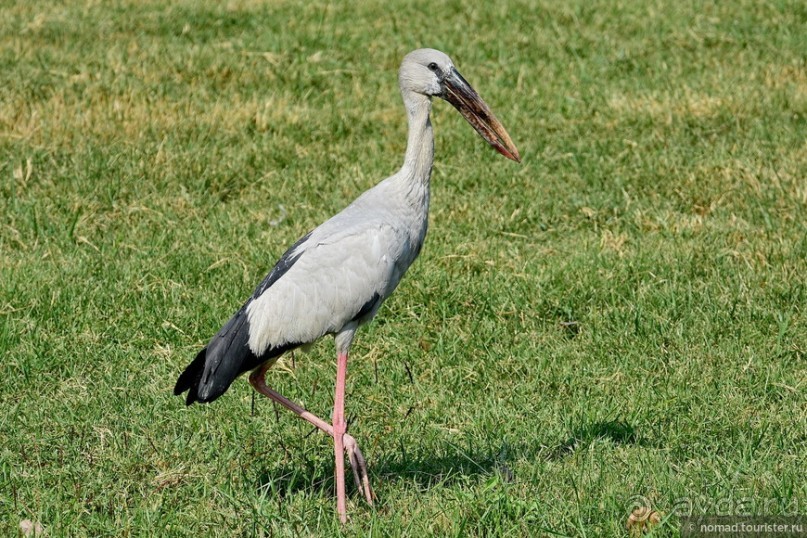 ТАИЛАНДиЯ. Часть 1