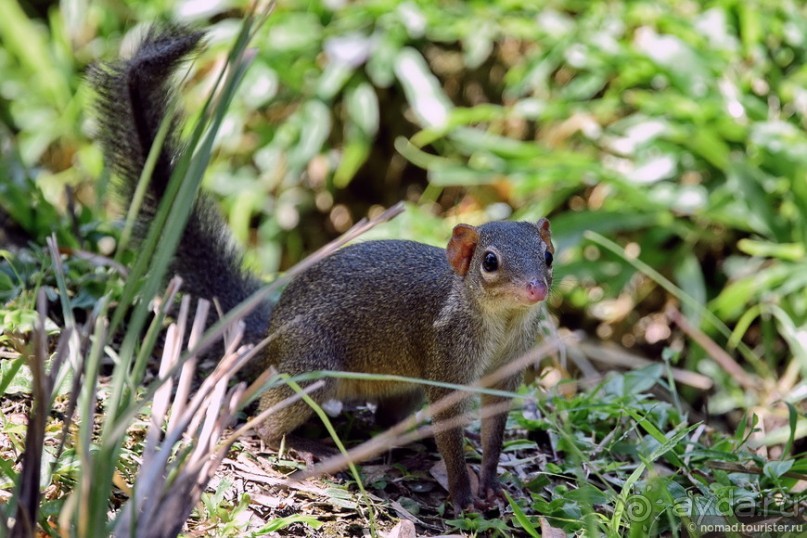 ТАИЛАНДиЯ. Часть 1