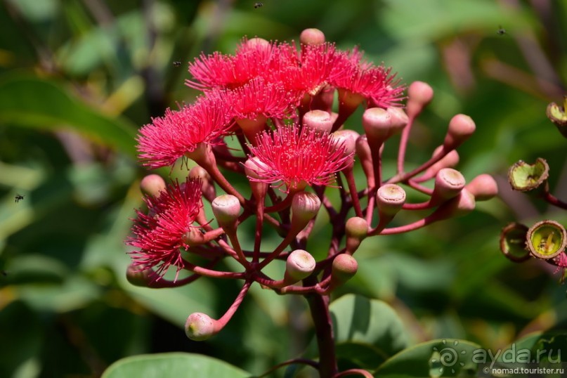 ТАИЛАНДиЯ. Часть 1