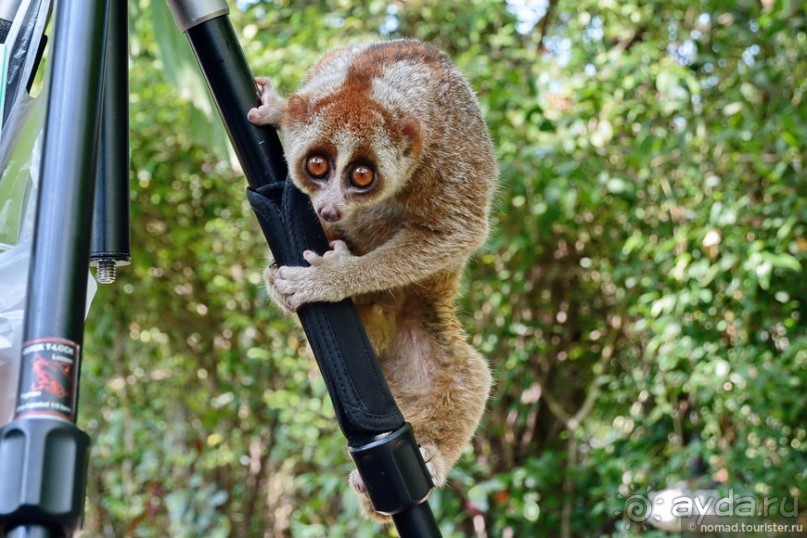 ТАИЛАНДиЯ. Часть 1