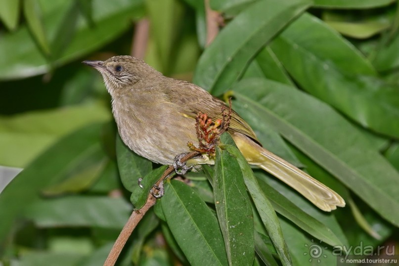 ТАИЛАНДиЯ. Часть 1