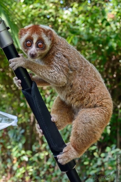 ТАИЛАНДиЯ. Часть 1