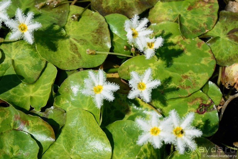 ТАИЛАНДиЯ. Часть 1