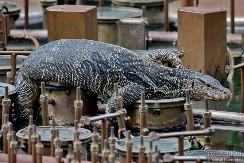 ТАИЛАНДиЯ. Часть 1