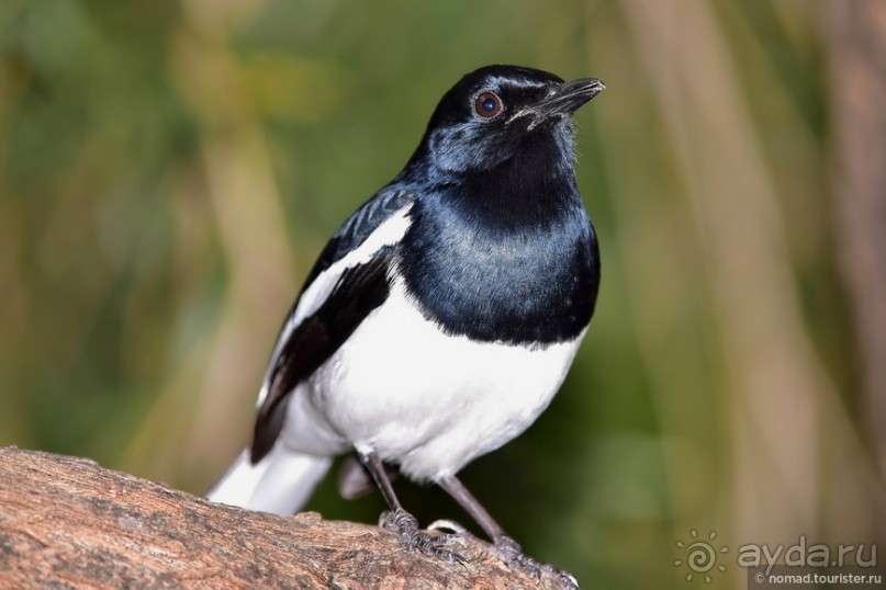 ТАИЛАНДиЯ. Часть 1