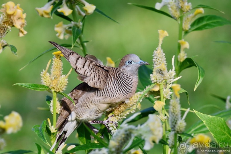 ТАИЛАНДиЯ. Часть 1