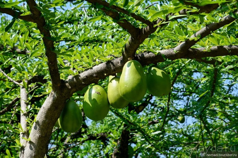 ТАИЛАНДиЯ. Часть 1