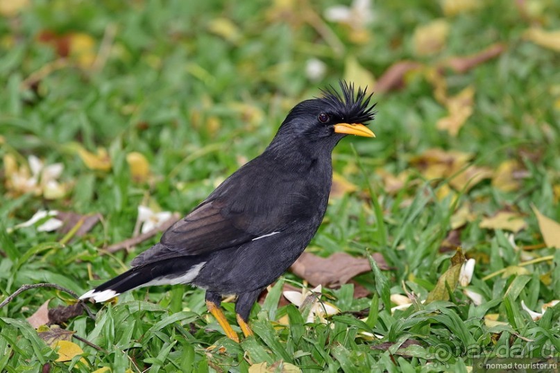 ТАИЛАНДиЯ. Часть 1