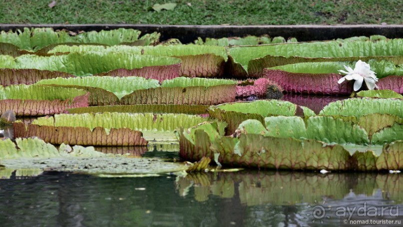 ТАИЛАНДиЯ. Часть 1
