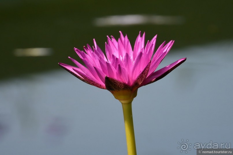 ТАИЛАНДиЯ. Часть 1