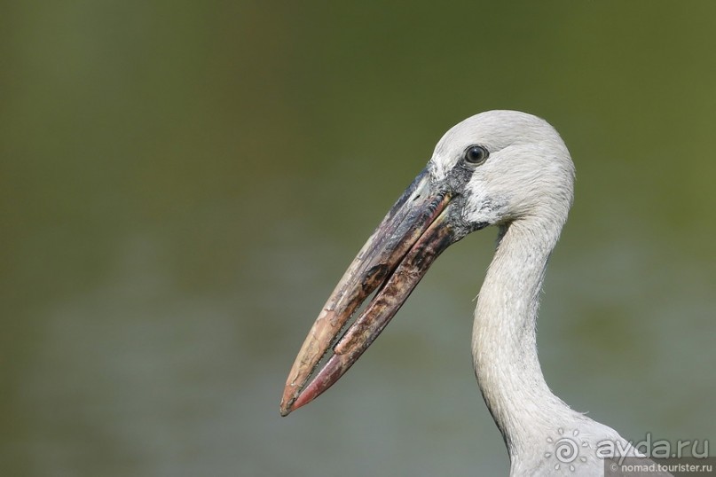 ТАИЛАНДиЯ. Часть 1