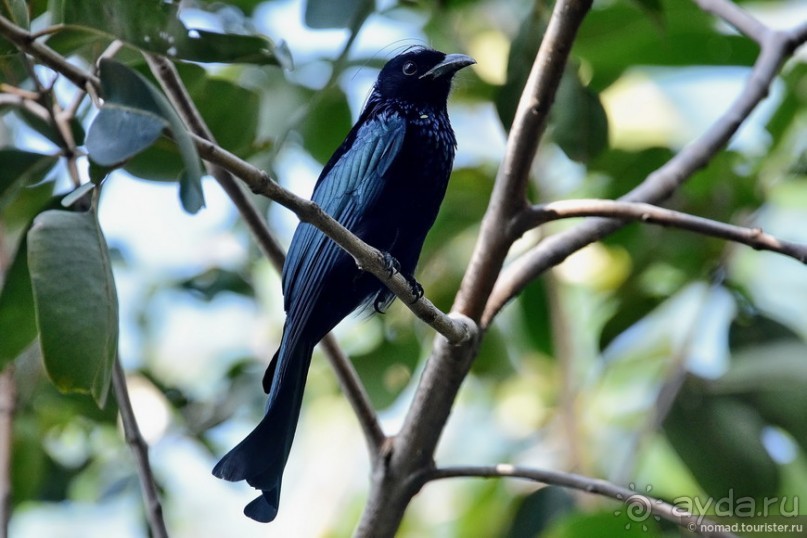 ТАИЛАНДиЯ. Часть 1