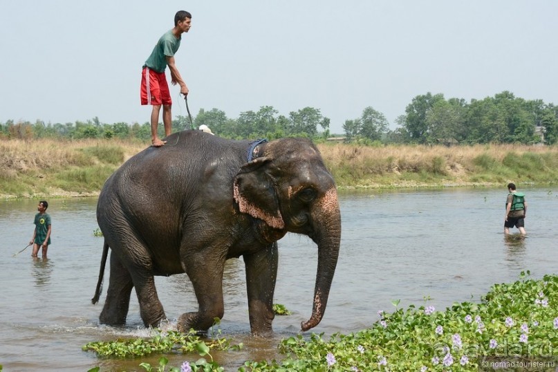 Затерянные Гималаи, Непал-Бутан. Часть 7