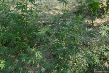 Затерянные Гималаи, Непал-Бутан. Часть 7