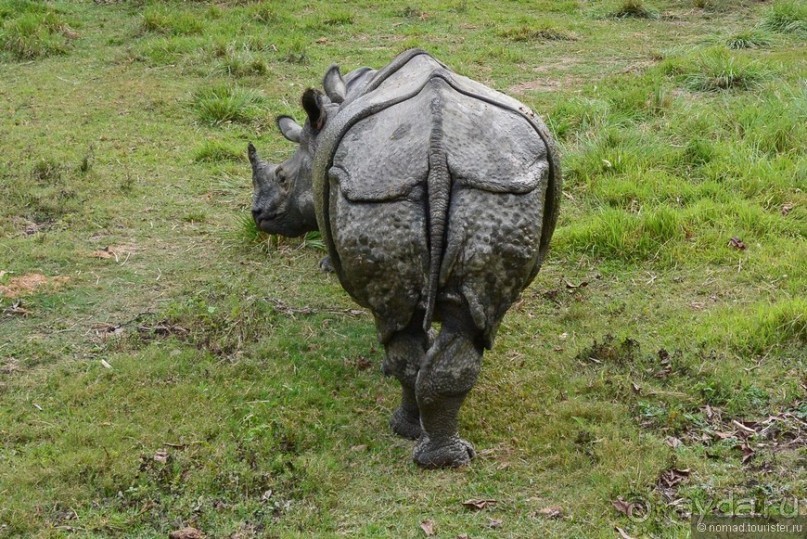Затерянные Гималаи, Непал-Бутан. Часть 7