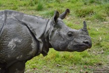 Затерянные Гималаи, Непал-Бутан. Часть 7