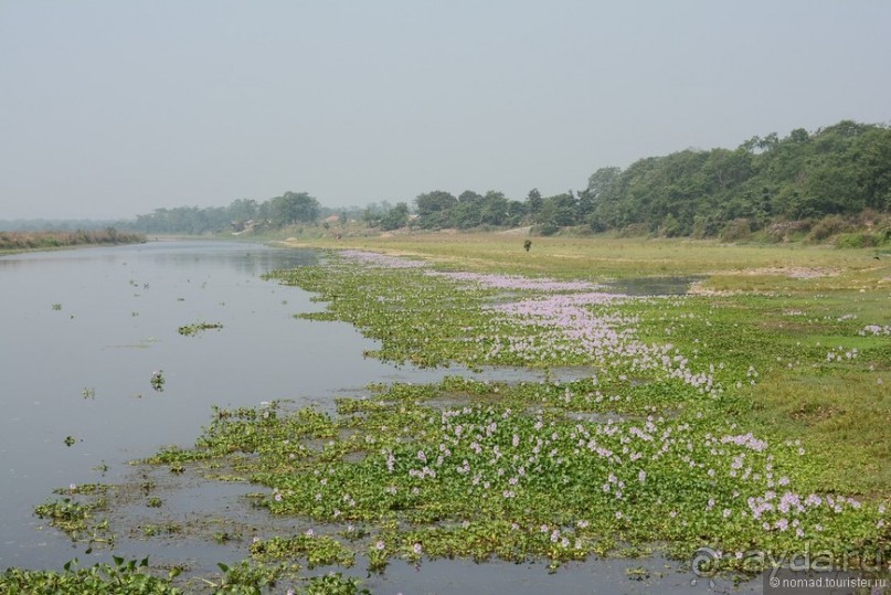 Затерянные Гималаи, Непал-Бутан. Часть 7