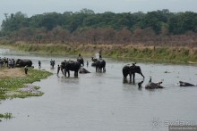 Затерянные Гималаи, Непал-Бутан. Часть 7