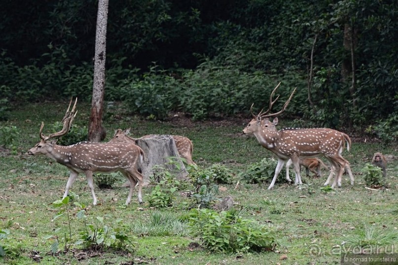Затерянные Гималаи, Непал-Бутан. Часть 7