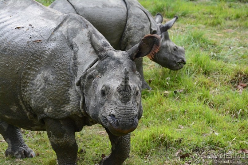 Затерянные Гималаи, Непал-Бутан. Часть 7