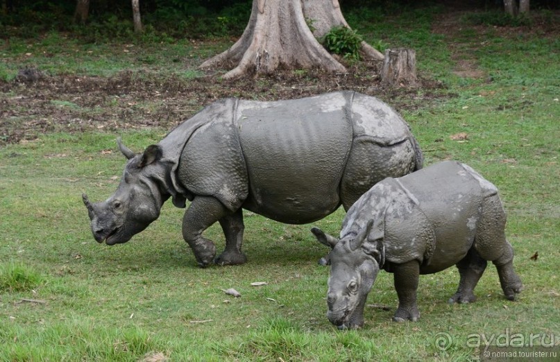 Затерянные Гималаи, Непал-Бутан. Часть 7